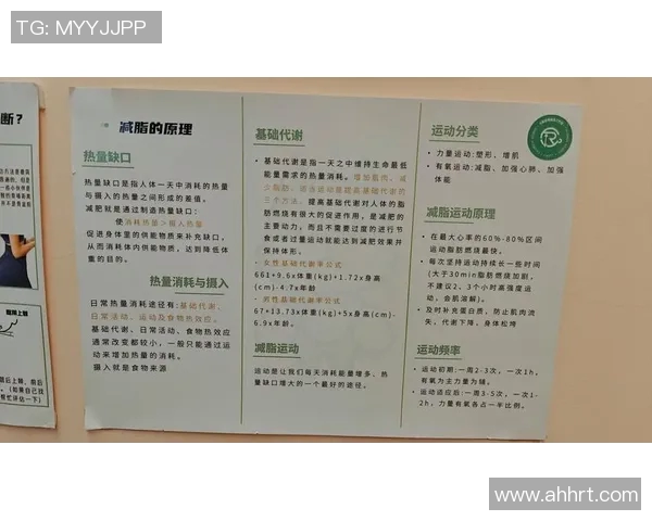 全面提升体能与健康的健身计划，从基础训练到进阶技巧全攻略